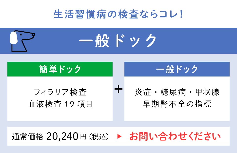 一般ドック　生活習慣病の検査ならコレ