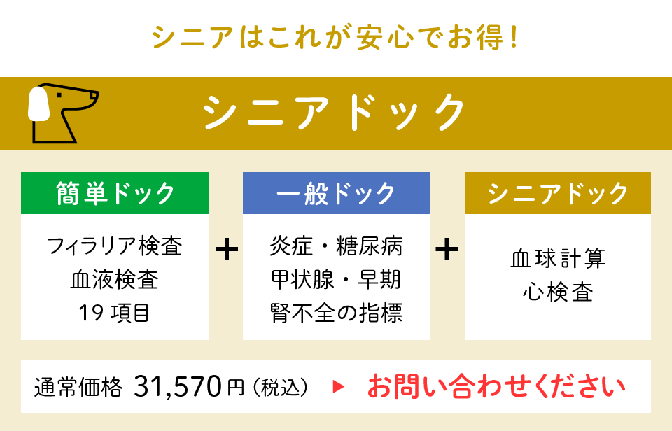 シニアドック　シニアはこれが安心でお得