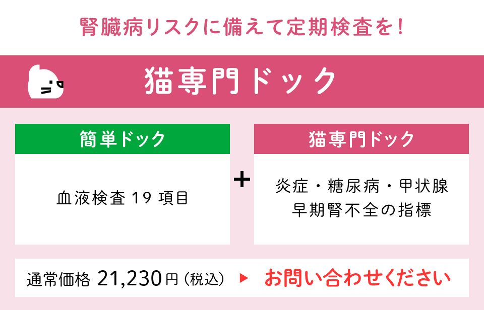 猫専門ドック　腎臓病リスクに備えて定期検査を