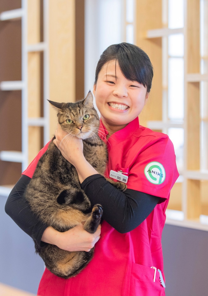 スタッフ紹介 Aniks アニクス 旧ハローどうぶつ病院 群馬県藤岡市の動物病院