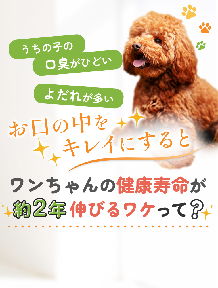 ワンちゃんの健康寿命が約2年伸びるワケって？